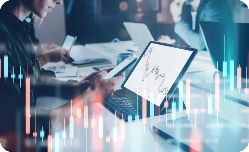 portfolio management overview